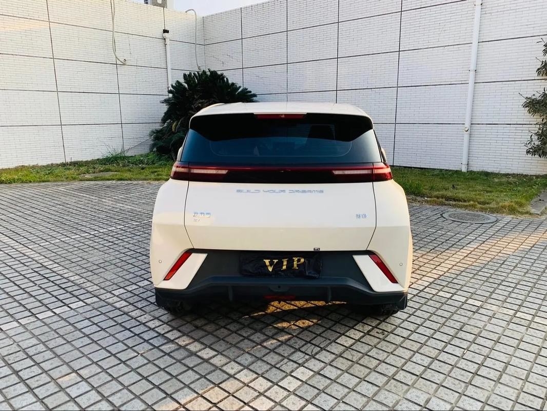 Byd Seagull 2024 Honor Edition 305km Free Edition Mobil Listrik Kendaraan Energi Baru
